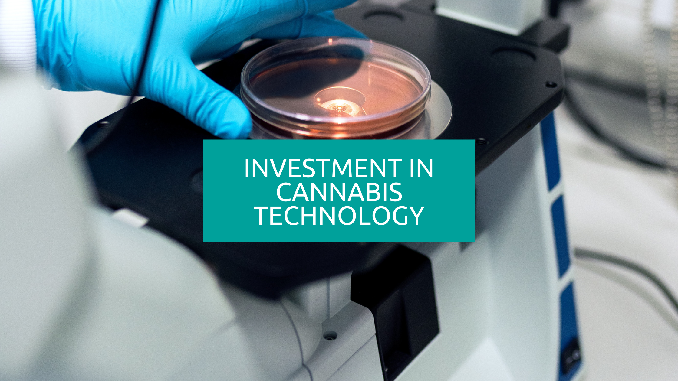 cannabis-testing-technology